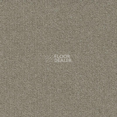 Ковровая плитка Modulyss Millennium Nxtgen Millennium Nxtgen 061 фото 1 | FLOORDEALER